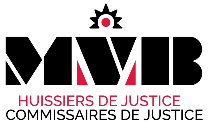 Photo de Maître Romain BRIGNET