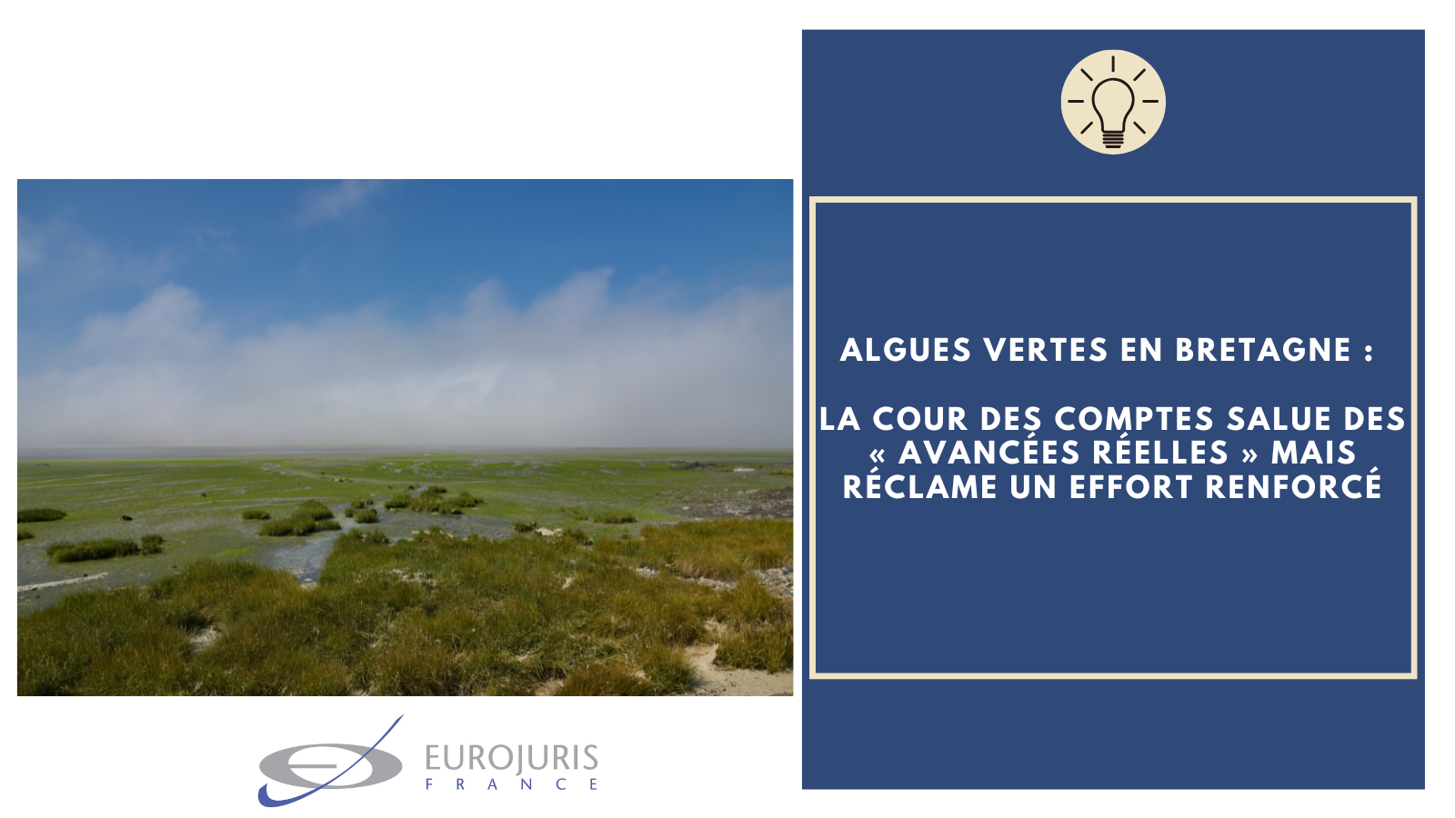 Algues vertes en Bretagne
