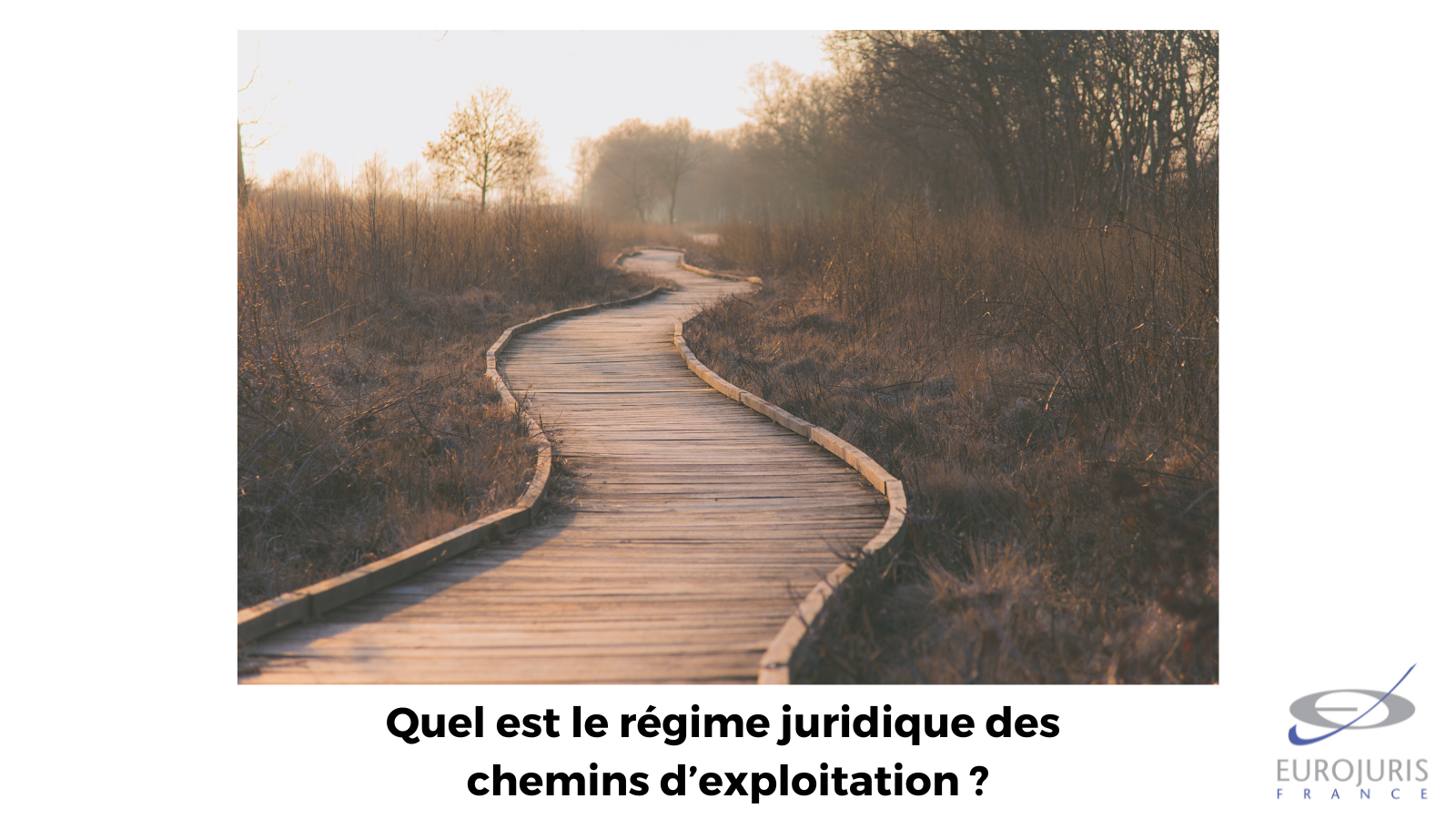 Le régime juridique des chemins d'exploitation