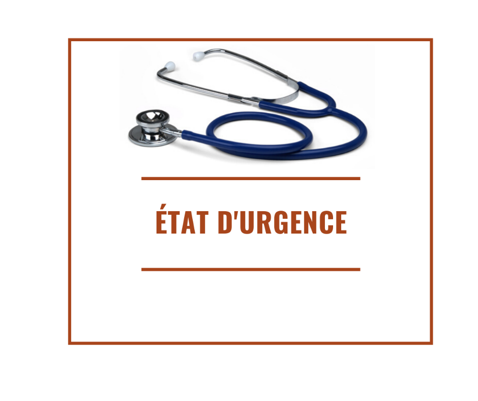 Loi d’urgence sanitaire : focus sur les mesures !