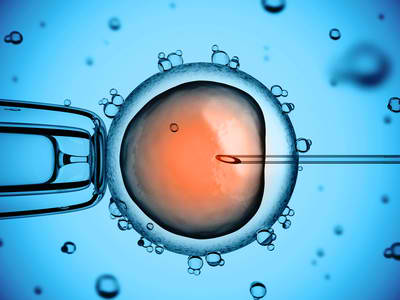 Publication de la loi autorisant la recherche sur l’embryon