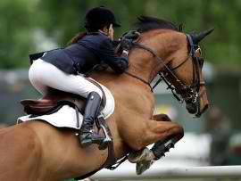 L’apprentissage dans les centres d’entraînement au trot