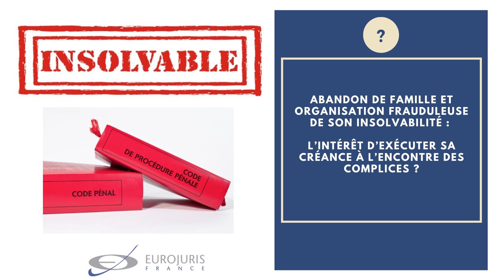 Organisation frauduleuse insolvabilité