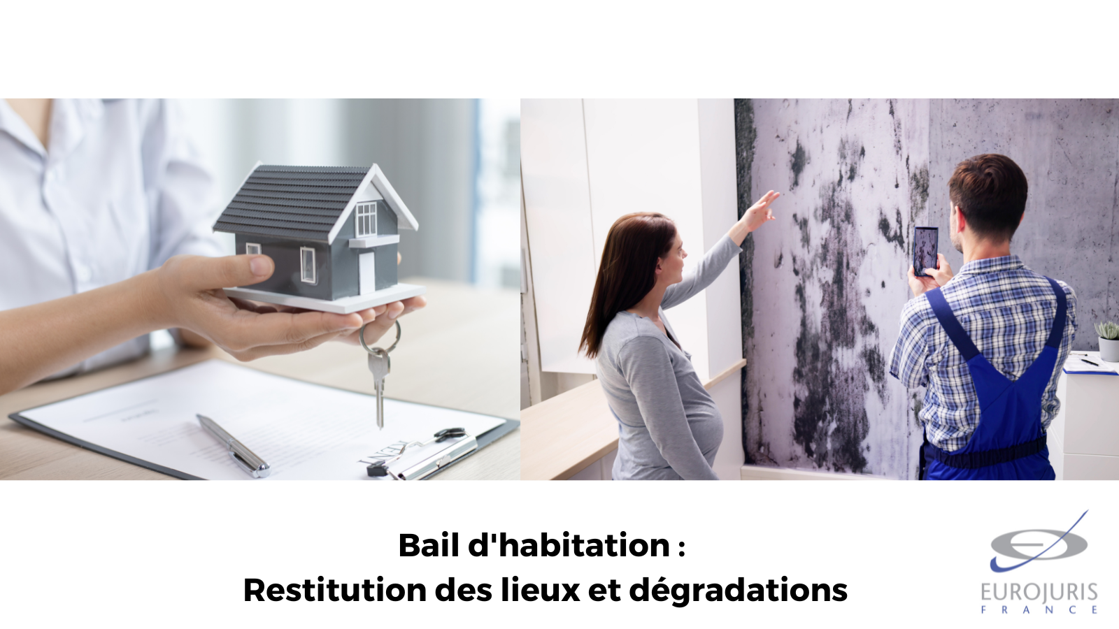 Bail d'habitation : restitution des lieux et dégradations