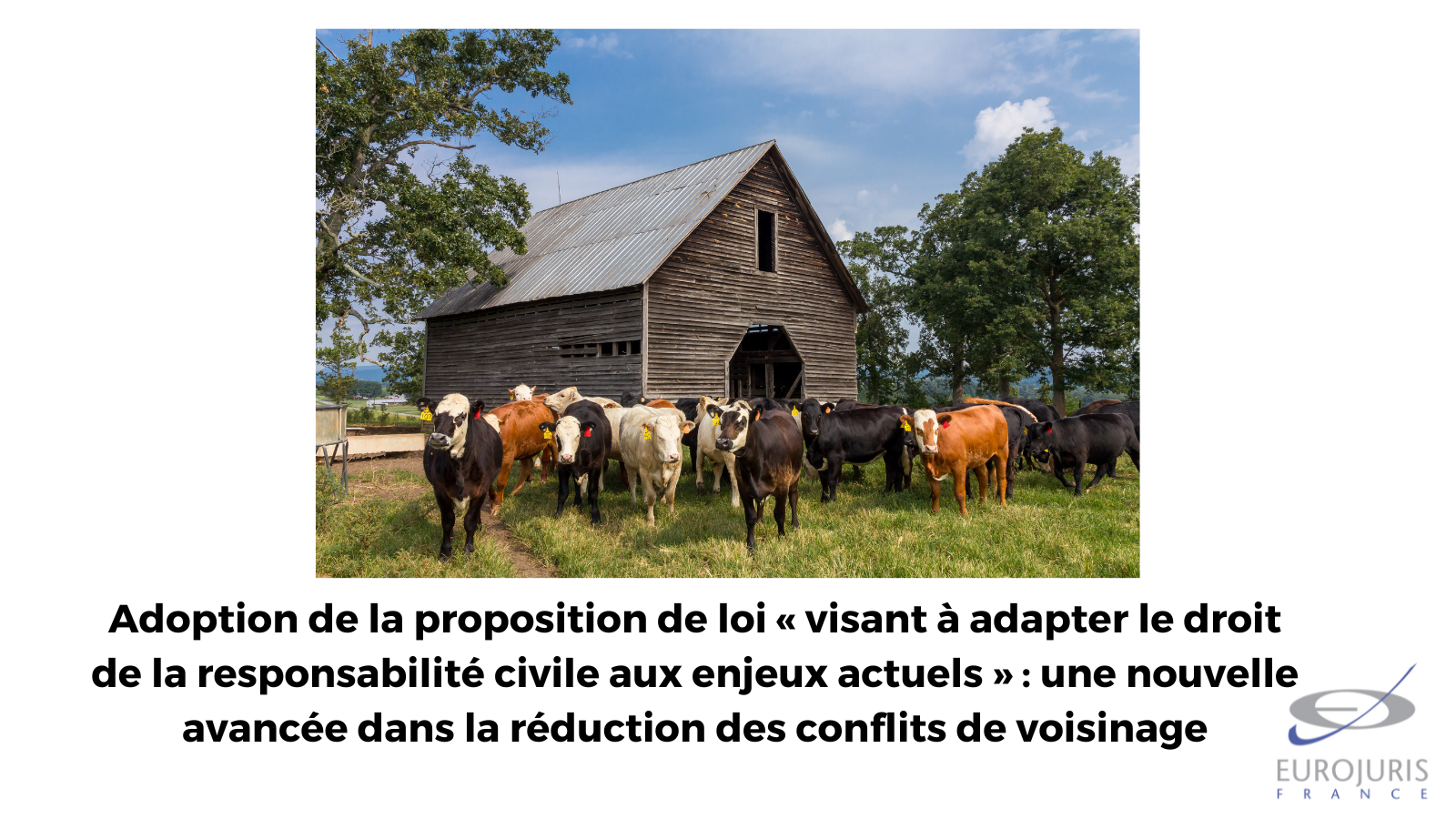 Conflits de voisinage : Adoption de la proposition de loi visant à adapter le droit de la responsabilité civile aux enjeux actuels